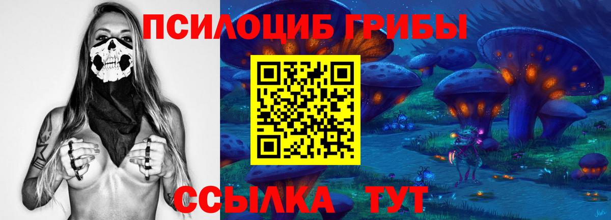 Псилоцибиновые грибы мицелий  купить  сайты  Вязники  Вход с VPN 